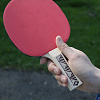 Набор для настольного тенниса DONIC CHAMPS 150